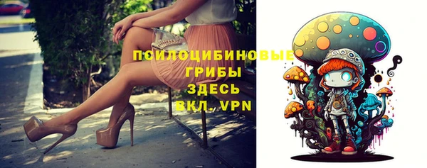 гидропоника Балахна