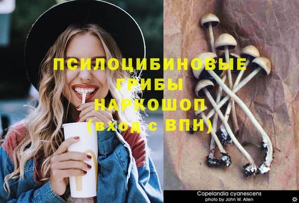 ешки Баксан