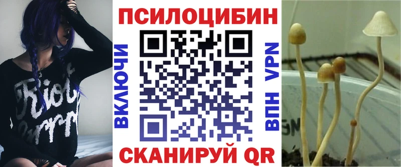 что такое наркотик  Ковдор  Псилоцибиновые грибы Cubensis 